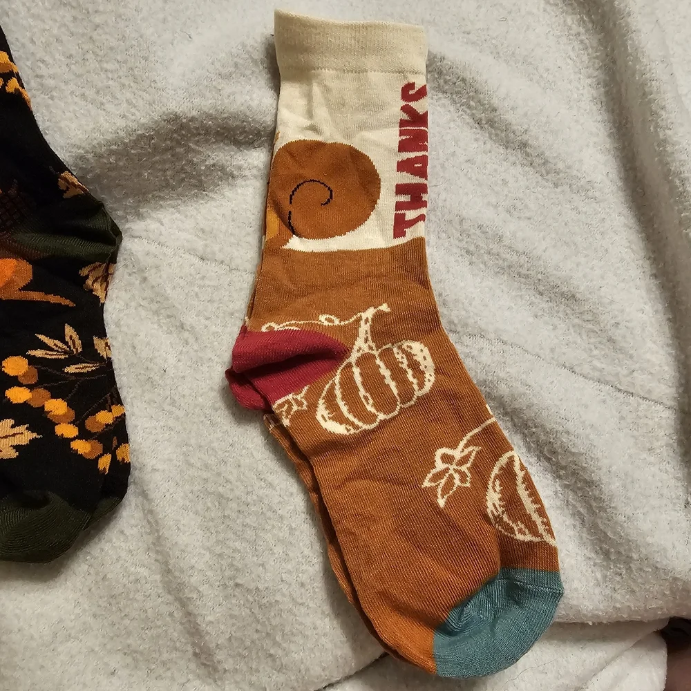 New Set Of Three Fall Squirrel Themed Socks